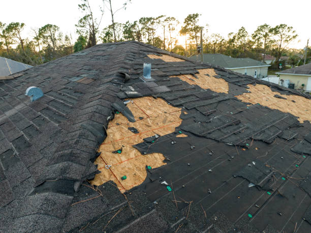 Best Chimney Flashing Repair  in Walton, KY